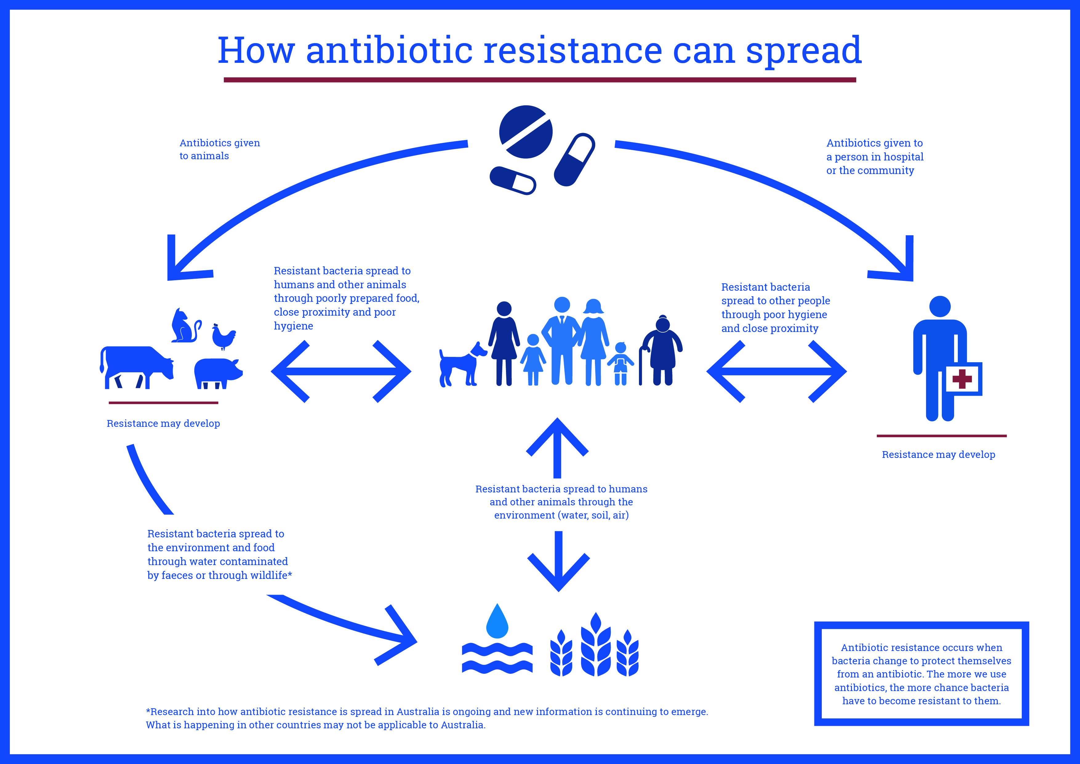 term paper on resistance to antibiotics